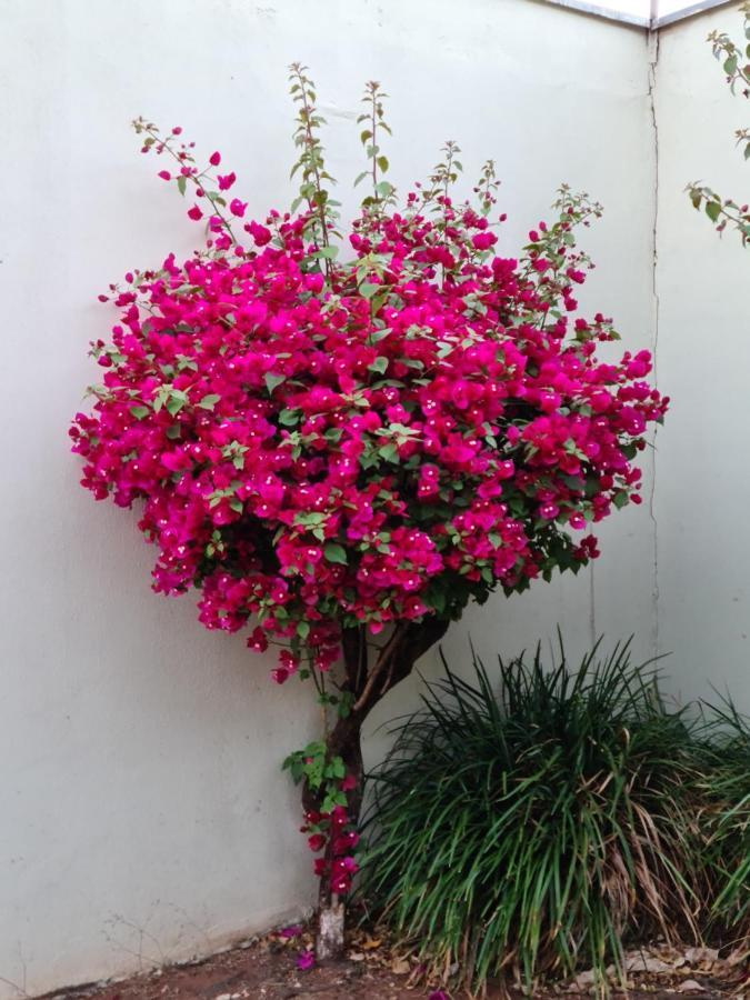 Betthy'S House Apartamento Campo Grande  Exterior foto
